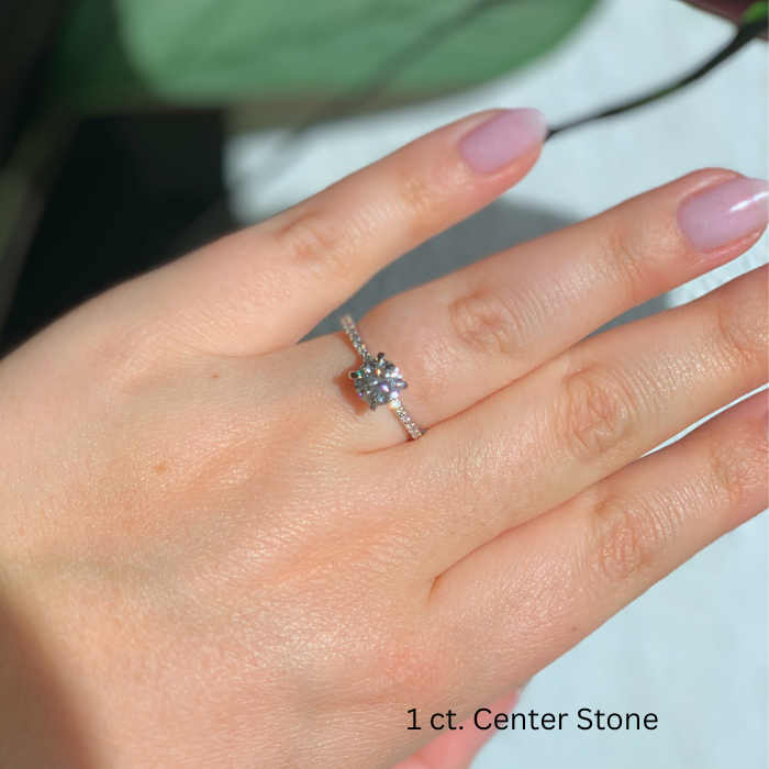 Pavé solitaire ring white gold